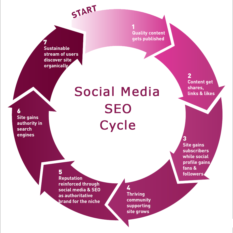 social media seo cycle share