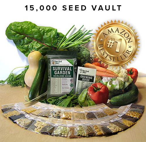 Seed Vault Restore Environment